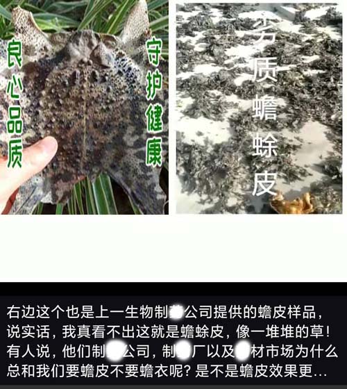 1660805198116358.jpg 劣質(zhì)蟾蜍皮.jpg